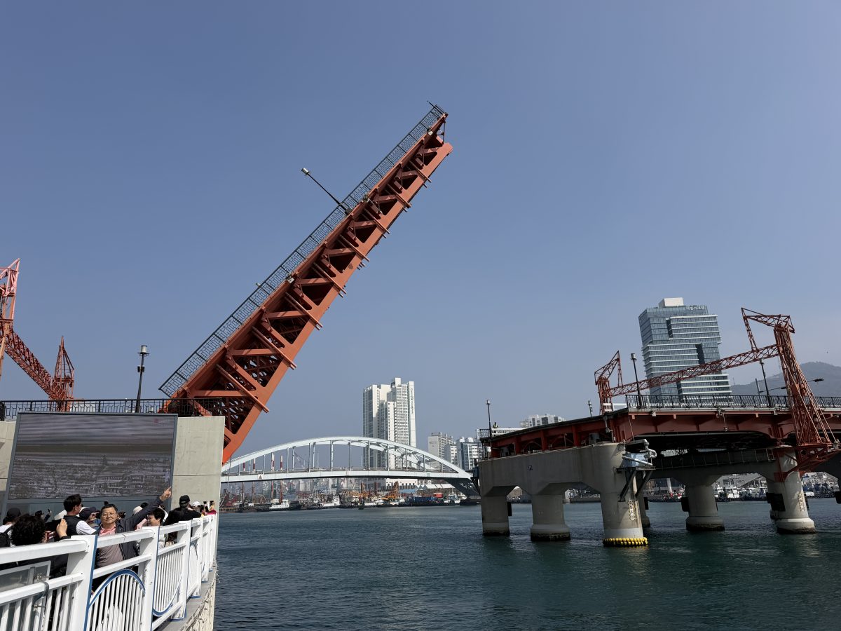 【韓國釜山旅遊】釜山、鎮海、慶州櫻花看到飽之旅 2026：滿滿的櫻花、物價便宜、好逛好買好吃，還不會人擠人，超適合小資的櫻花旅行 7371
