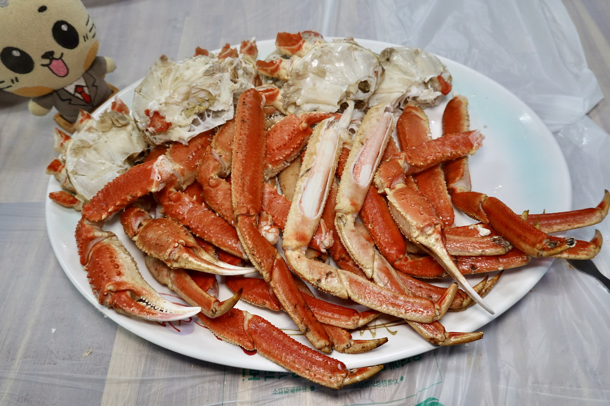 【韓國釜山旅遊】釜山、鎮海、慶州櫻花看到飽之旅 2026：滿滿的櫻花、物價便宜、好逛好買好吃，還不會人擠人，超適合小資的櫻花旅行 7371