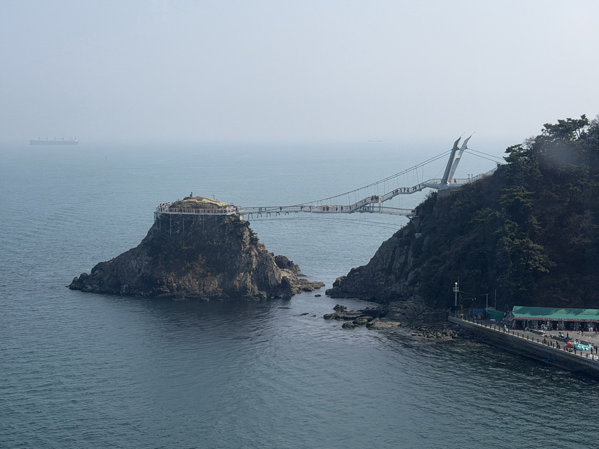 【韓國釜山旅遊】釜山、鎮海、慶州櫻花看到飽之旅 2026：滿滿的櫻花、物價便宜、好逛好買好吃，還不會人擠人，超適合小資的櫻花旅行 7371