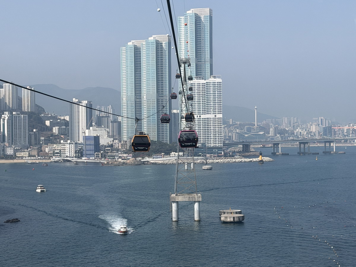 【韓國釜山旅遊】釜山、鎮海、慶州櫻花看到飽之旅 2026：滿滿的櫻花、物價便宜、好逛好買好吃，還不會人擠人，超適合小資的櫻花旅行 7371