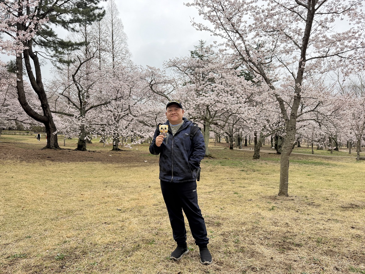 【韓國釜山旅遊】釜山、鎮海、慶州櫻花看到飽之旅 2026：滿滿的櫻花、物價便宜、好逛好買好吃，還不會人擠人，超適合小資的櫻花旅行 7371