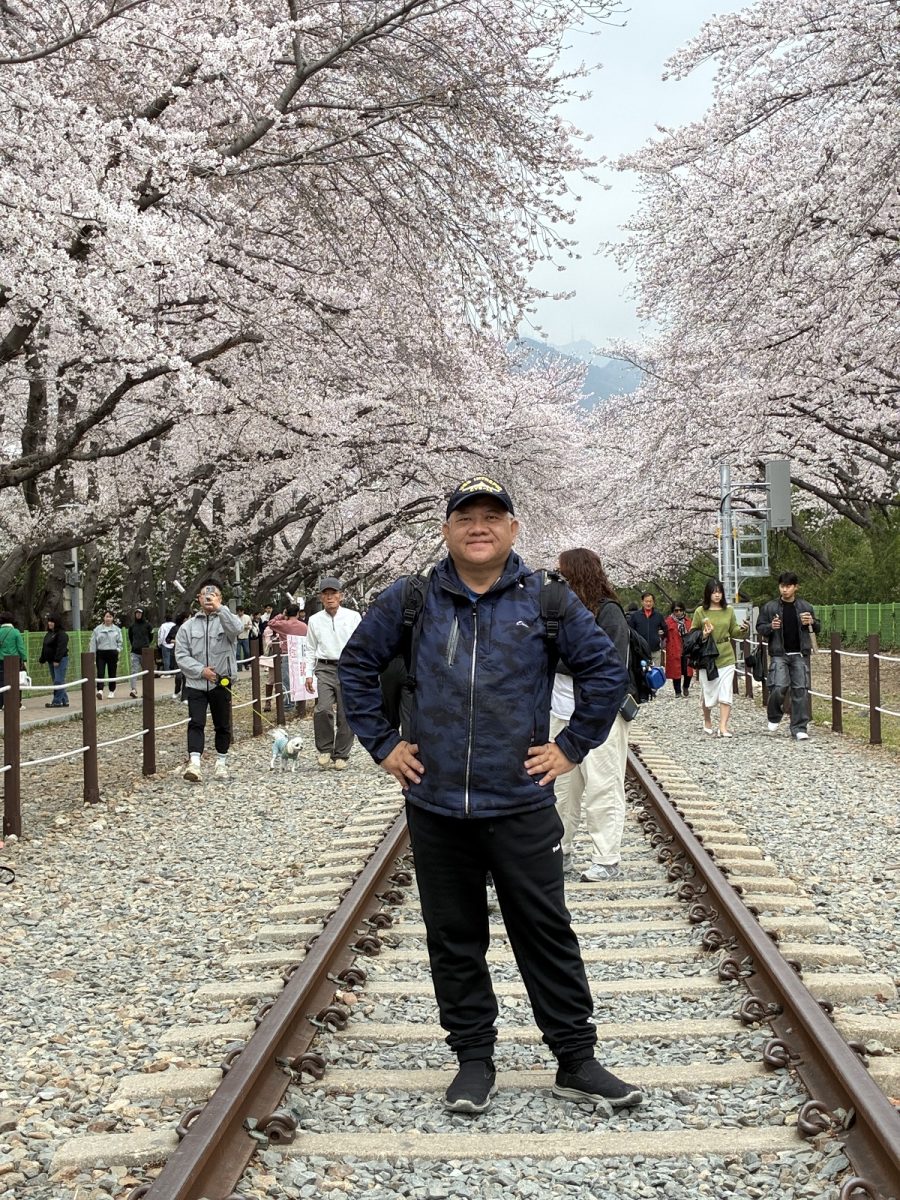 【韓國釜山旅遊】釜山、鎮海、慶州櫻花看到飽之旅 2026：滿滿的櫻花、物價便宜、好逛好買好吃，還不會人擠人，超適合小資的櫻花旅行 7371