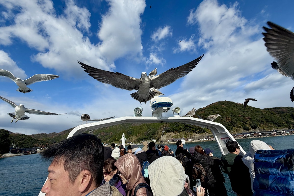 【日本旅遊情報】深度微旅迷你旅遊資訊中心 2026：想去日本深度旅遊的朋友一定要收藏的網站！超豐富的自助旅行資料、免費旅遊諮詢、行程安排建議，Mini Tour小團體、客製化，讓你更深度探訪日本秘境、鄉間美景、在地美食 7374