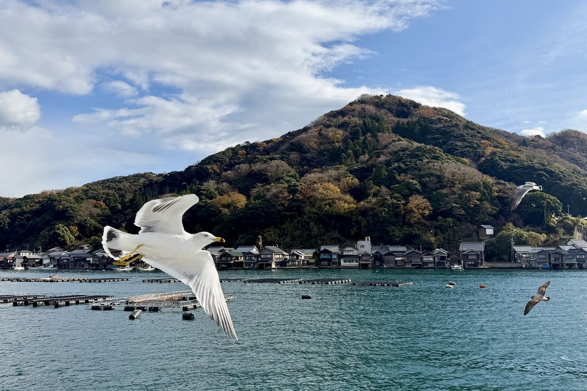 網站近期文章：【日本旅遊情報】深度微旅：迷你旅遊資訊中心 2026：想去日本深度旅遊的朋友一定要收藏的網站！超豐富的自助旅行資料、免費旅遊諮詢、行程安排建議，Mini Tour小團體、客製化，讓你更深度探訪日本秘境、鄉間美景、在地美食 7374