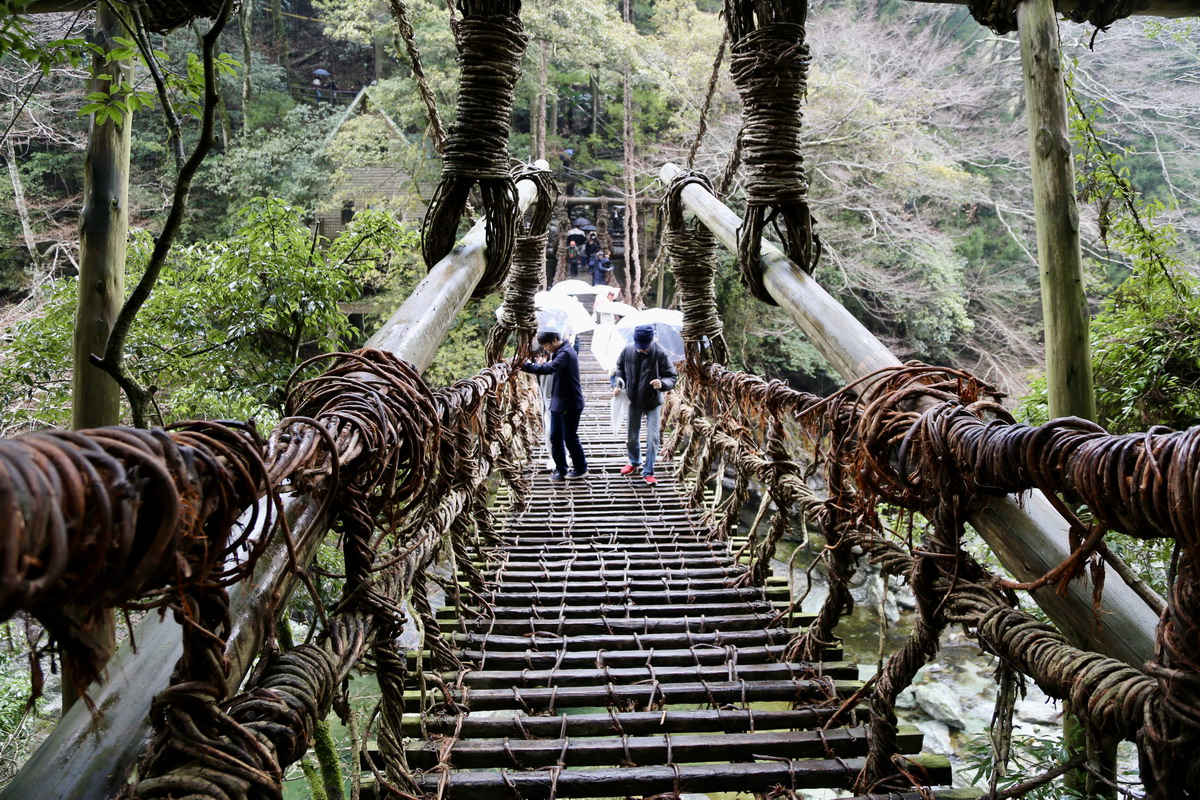 【日本旅遊情報】深度微旅迷你旅遊資訊中心 2026：想去日本深度旅遊的朋友一定要收藏的網站！超豐富的自助旅行資料、免費旅遊諮詢、行程安排建議，Mini Tour小團體、客製化，讓你更深度探訪日本秘境、鄉間美景、在地美食 7374