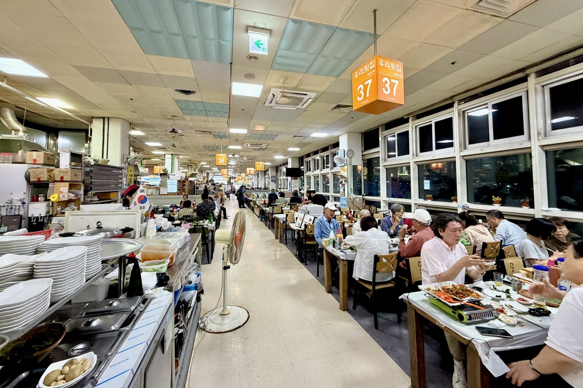 【韓國釜山旅遊】釜山南浦洞札嘎其海鮮市場 Jalgachi Market 2026：釜山海洋生物博物館（誤），沉浸式體驗，看得到也吃得到，還有免費觀景台 7507