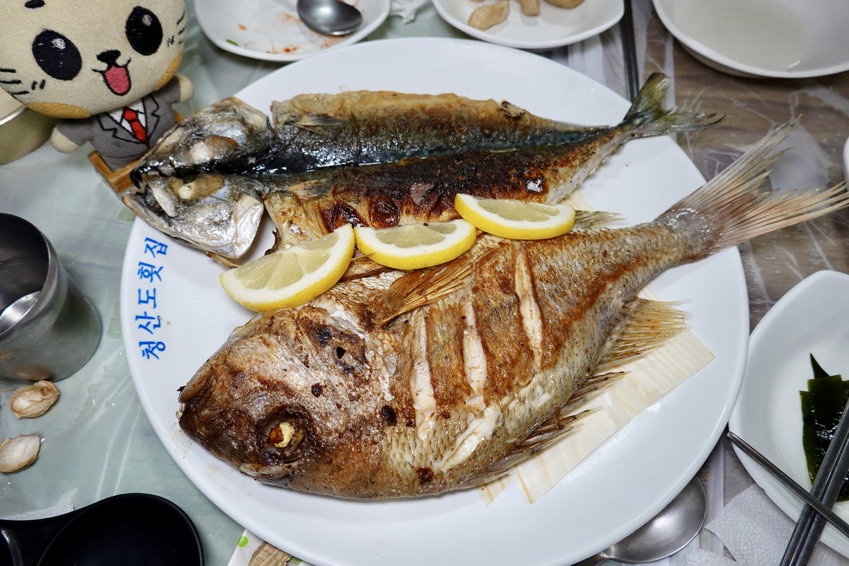 【韓國釜山旅遊】釜山南浦洞札嘎其海鮮市場 Jalgachi Market 2026：釜山海洋生物博物館（誤），沉浸式體驗，看得到也吃得到，還有免費觀景台 7507