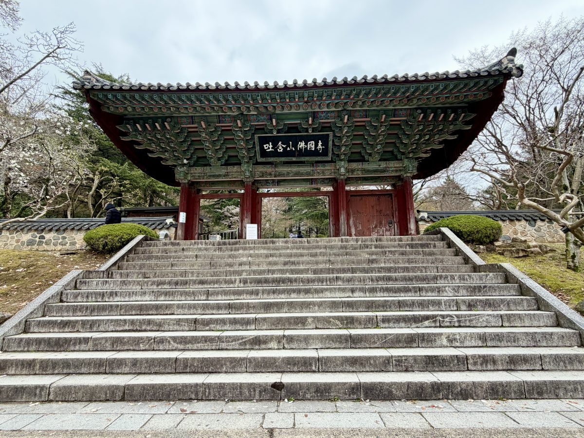 【韓國釜山旅遊】慶州佛國寺 Bulguksa 2026：慶州賞櫻第一景點，櫻花林美勝收，韓國國寶與世界文化遺產