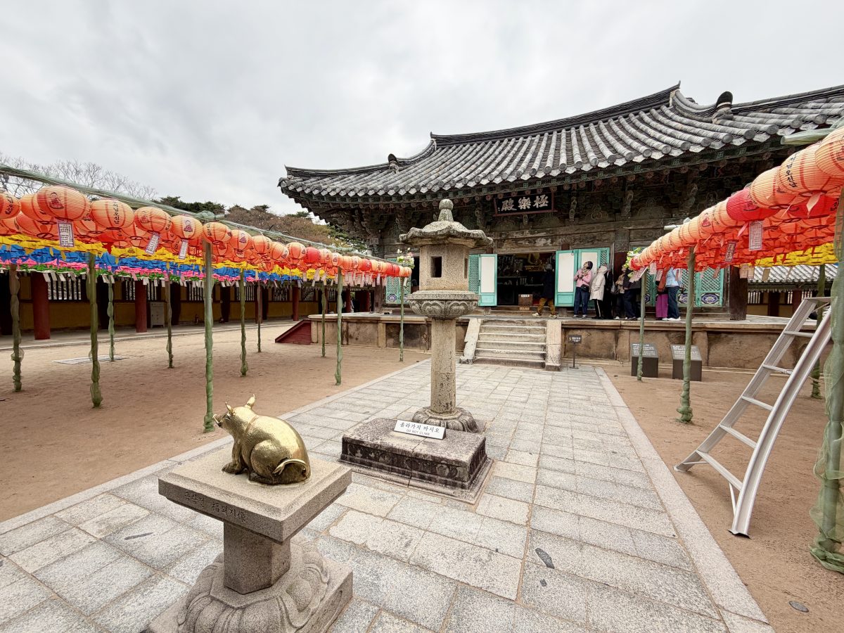 【韓國釜山旅遊】慶州佛國寺 Bulguksa 2026：慶州賞櫻第一景點，櫻花林美勝收，韓國國寶與世界文化遺產