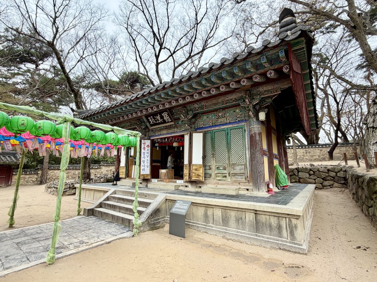 【韓國釜山旅遊】慶州佛國寺 Bulguksa 2026：慶州賞櫻第一景點，櫻花林美勝收，韓國國寶與世界文化遺產