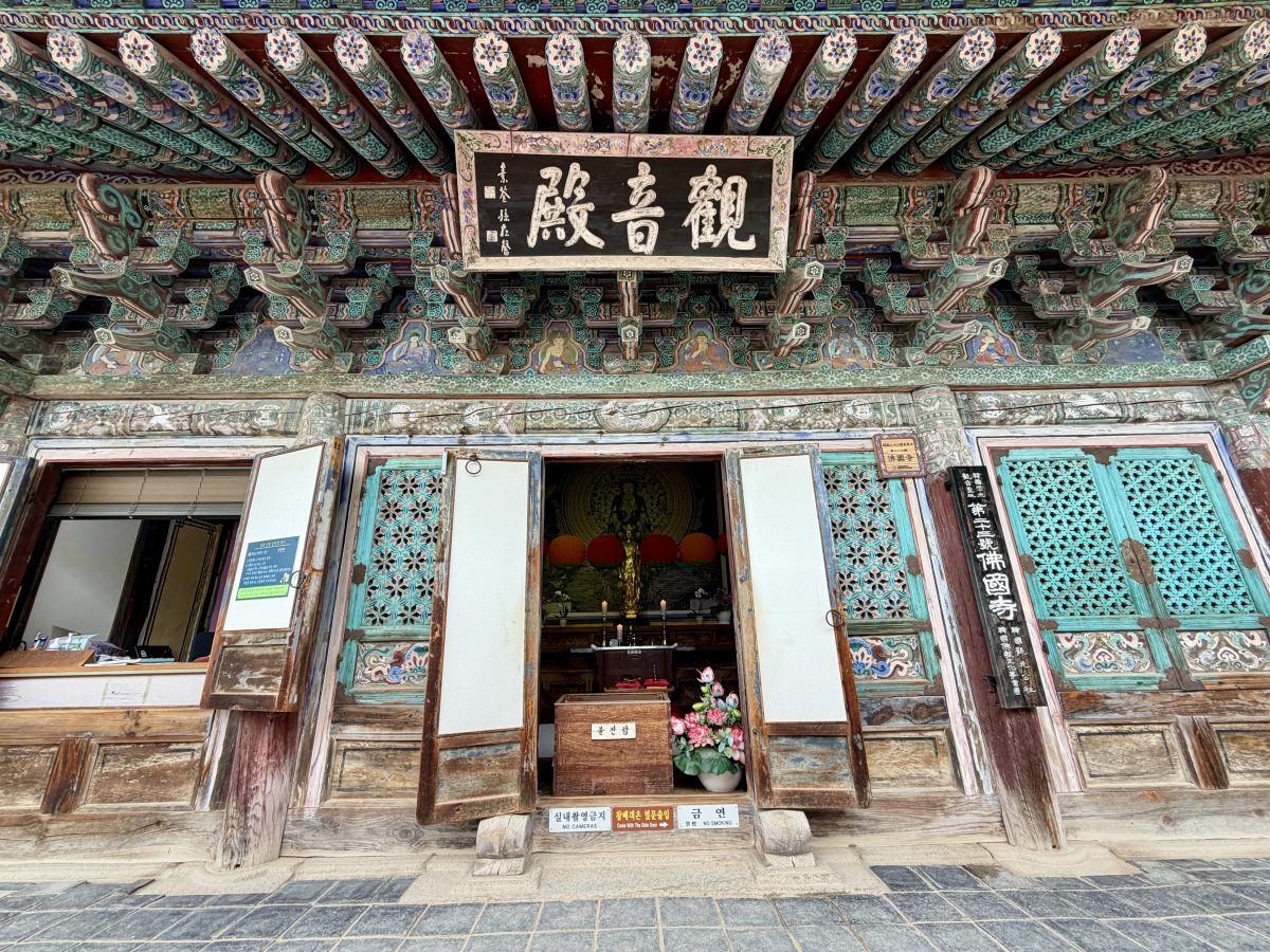【韓國釜山旅遊】慶州佛國寺 Bulguksa 2026：慶州賞櫻第一景點，櫻花林美勝收，韓國國寶與世界文化遺產