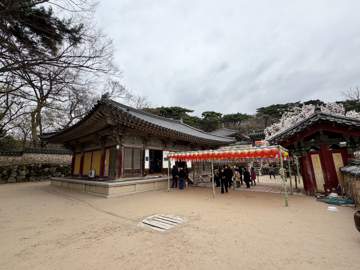 【韓國釜山旅遊】慶州佛國寺 Bulguksa 2026：慶州賞櫻第一景點，櫻花林美勝收，韓國國寶與世界文化遺產