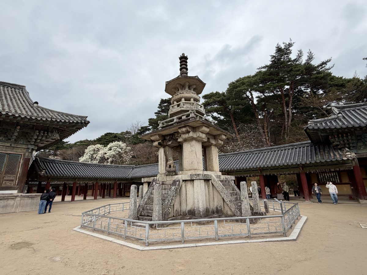 【韓國釜山旅遊】慶州佛國寺 Bulguksa 2026：慶州賞櫻第一景點，櫻花林美勝收，韓國國寶與世界文化遺產