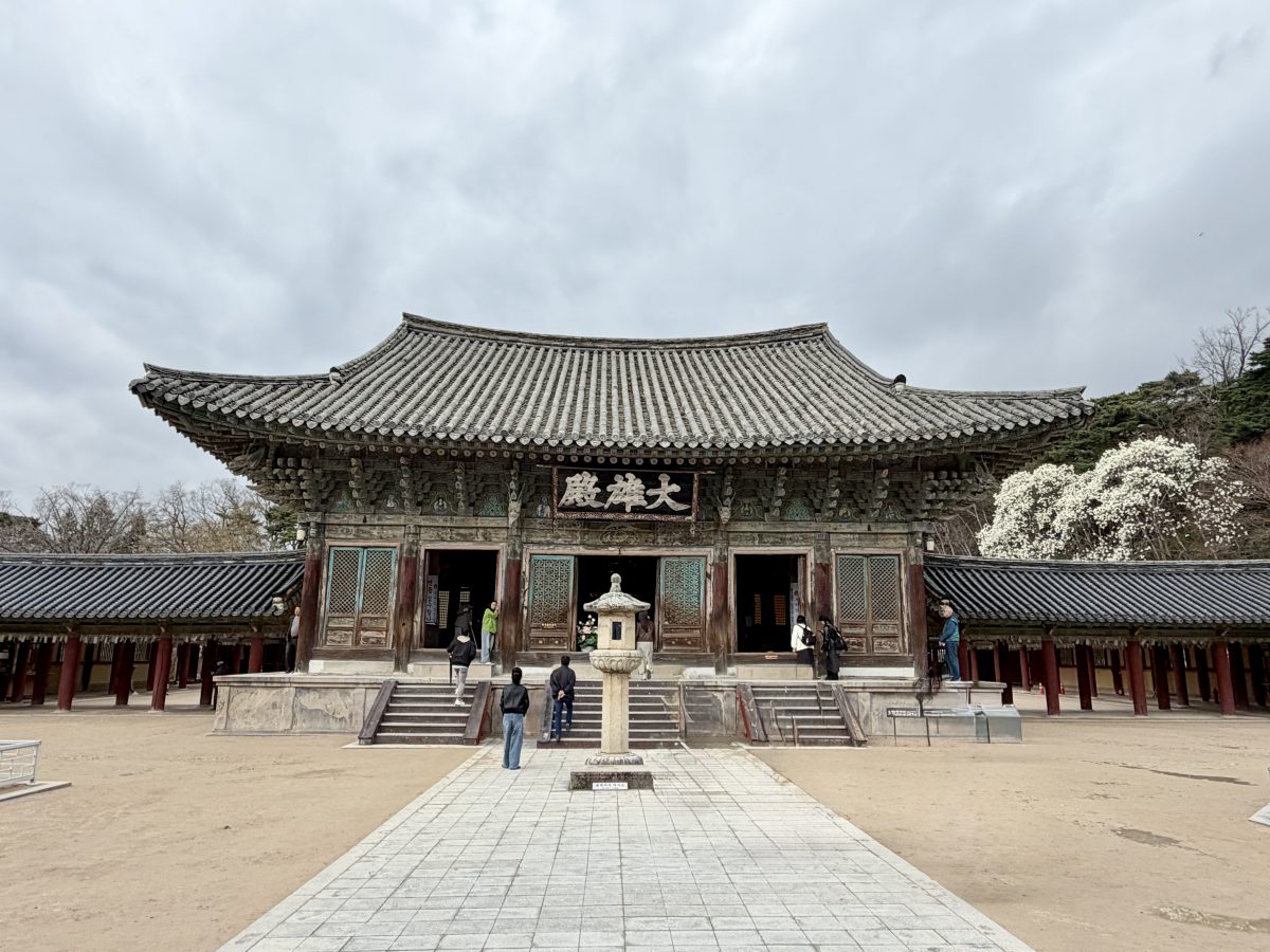 【韓國釜山旅遊】慶州佛國寺 Bulguksa 2026：慶州賞櫻第一景點，櫻花林美勝收，韓國國寶與世界文化遺產
