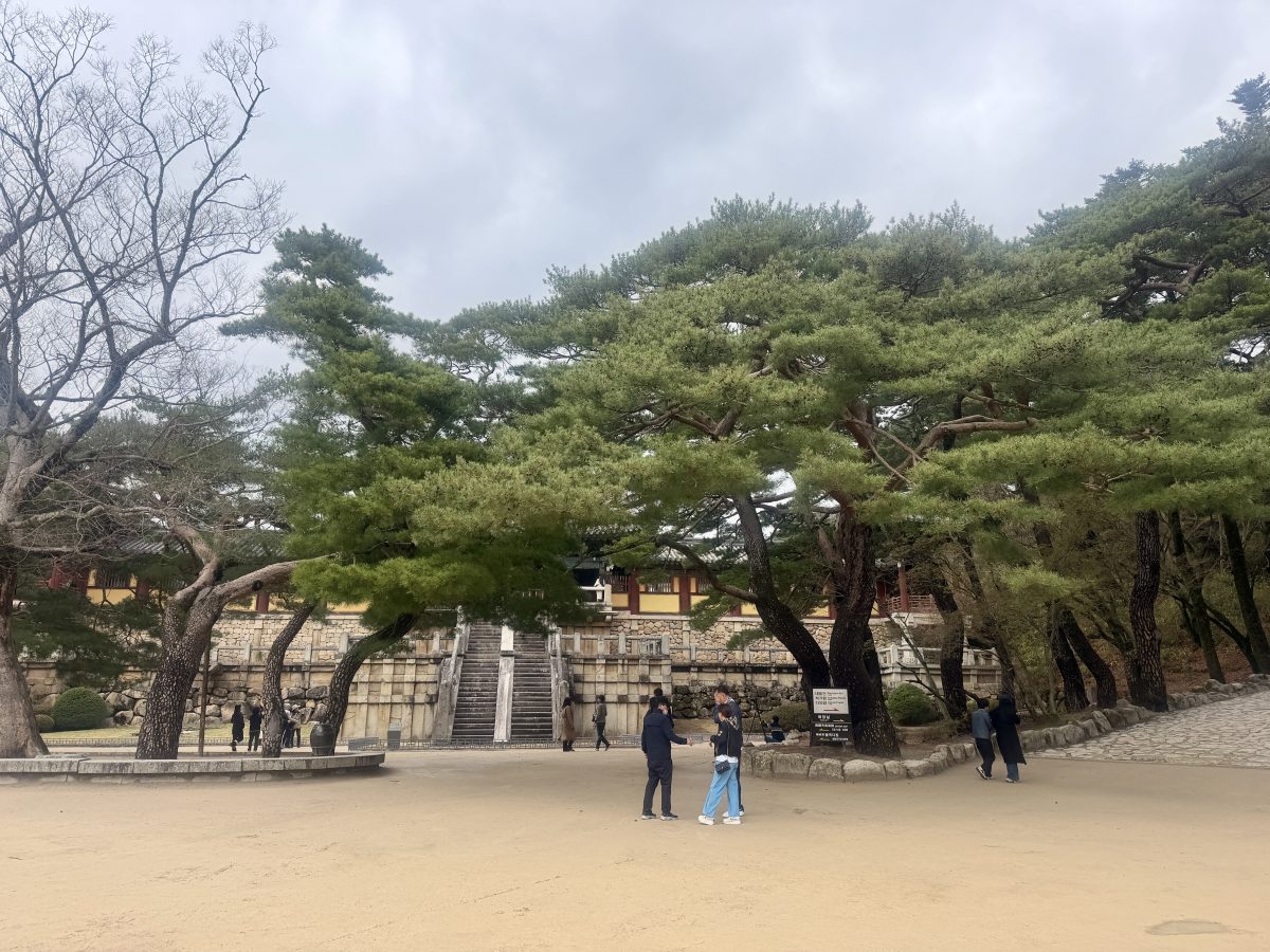 【韓國釜山旅遊】慶州佛國寺 Bulguksa 2026：慶州賞櫻第一景點，櫻花林美勝收，韓國國寶與世界文化遺產