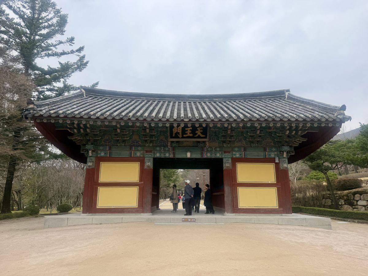 【韓國釜山旅遊】慶州佛國寺 Bulguksa 2026：慶州賞櫻第一景點，櫻花林美勝收，韓國國寶與世界文化遺產