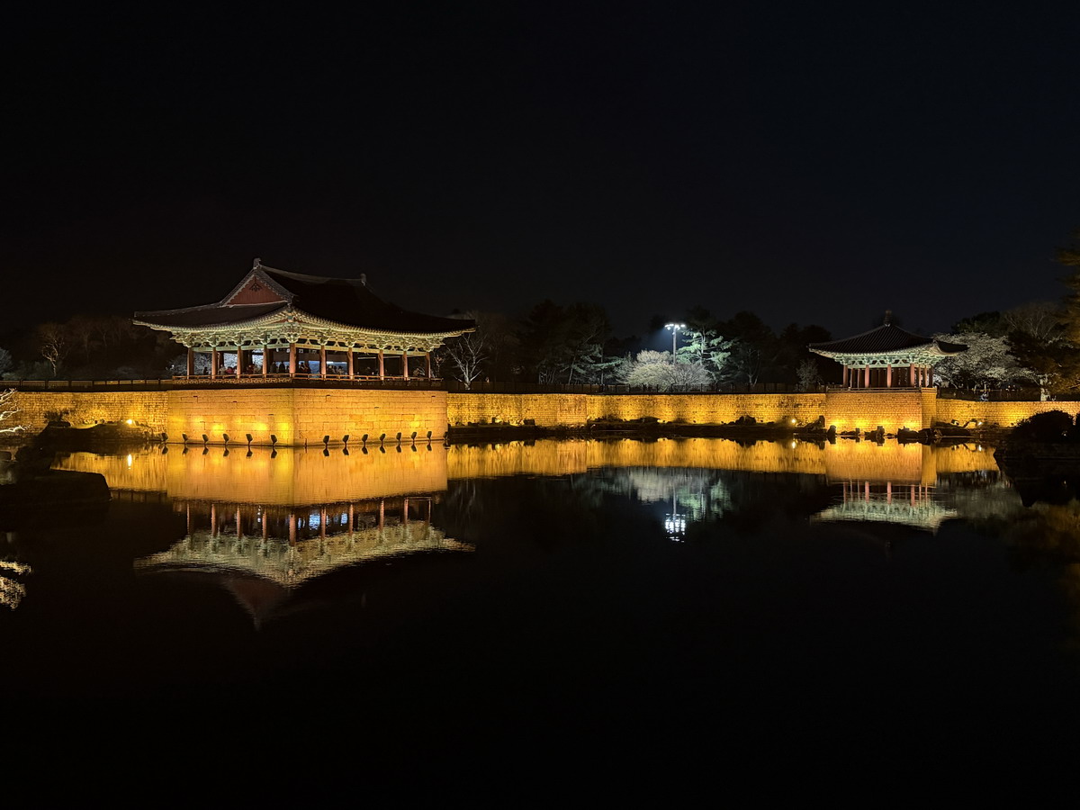 【韓國釜山旅遊】慶州佛國寺 Bulguksa 2026：慶州賞櫻第一景點，櫻花林美勝收，韓國國寶與世界文化遺產