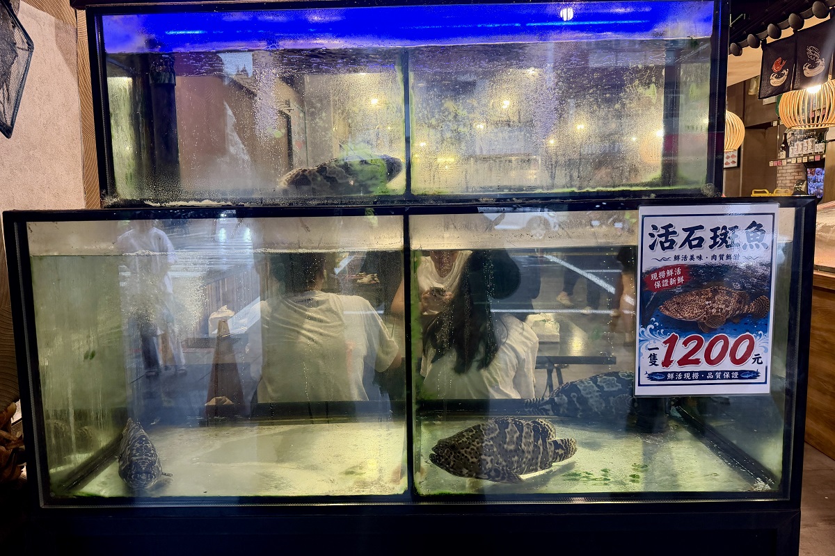 【台北六張犁站美食】品鱻海鮮熱炒店 2026：「輝達」（NVIDIA）執行長黃仁勳「兆元宴」韓國版，平價海鮮熱炒店，經濟實惠，熱門聚餐地點 7412