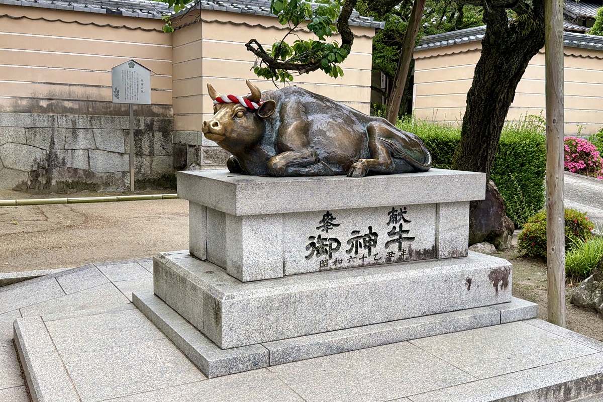 【日本旅遊】西日本之旅13天行程分享 2026：用JR Pass從大阪玩到福岡，暢遊四國、關西、山陰山陽到九州，把新幹線當捷運，趁著匯率便宜爽爽玩 7434