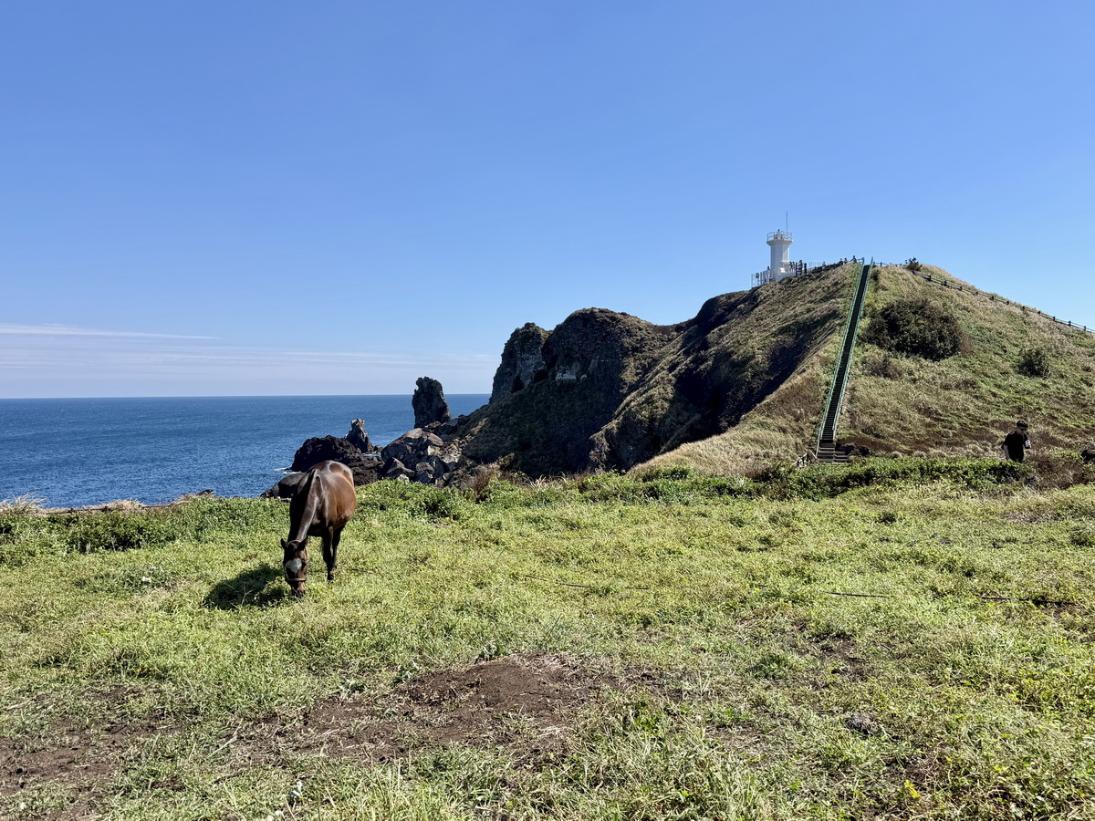 【韓國濟州島旅遊】涉地可支 2026:壯闊海景與房頭浦白色燈塔,多部影視作品的場景 7519 【韓國濟州島旅遊】涉地可支 2026:壯闊海景與房頭浦白色燈塔,多部影視作品的場景 7519