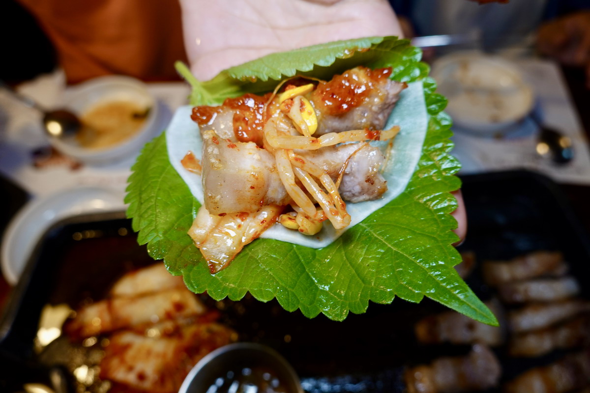 【韓國濟州島美食】菜板豚 Dombedon 2026:濟州島必吃美食,米其林必比登推薦,黑豬肉一條街名店,全程服務員代烤,台灣節目也來採訪 7521 【韓國濟州島美食】菜板豚 Dombedon 2026:濟州島必吃美食,米其林必比登推薦,黑豬肉一條街名店,全程服務員代烤,台灣節目也來採訪 7521
