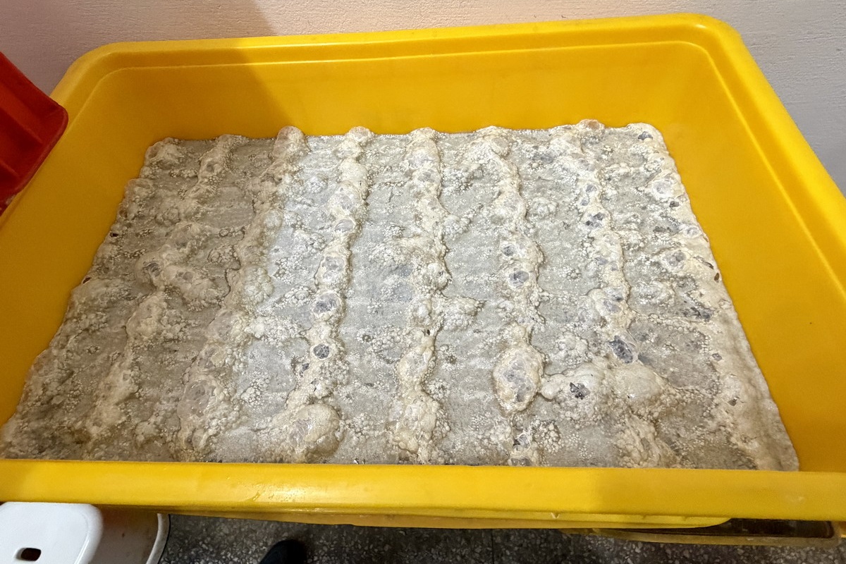 【台北公館站美食】師大分部神之臭豆腐本店 2026:外酥內嫩,被網友稱為「神之臭豆腐」的攤車臭豆腐如今有店面,堅持職人精神,臭豆腐控必吃 7531 【台北公館站美食】師大分部神之臭豆腐本店 2026:外酥內嫩,被網友稱為「神之臭豆腐」的攤車臭豆腐如今有店面,堅持職人精神,臭豆腐控必吃 7531